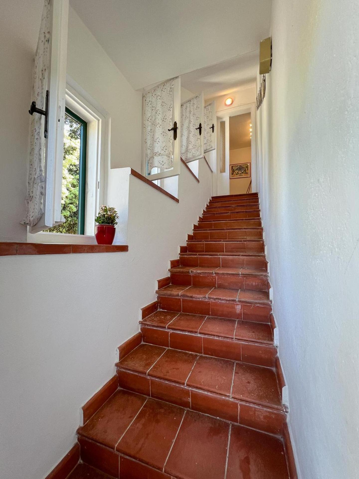 Azienda Agricola Sapereta Porto Azzurro Exterior photo